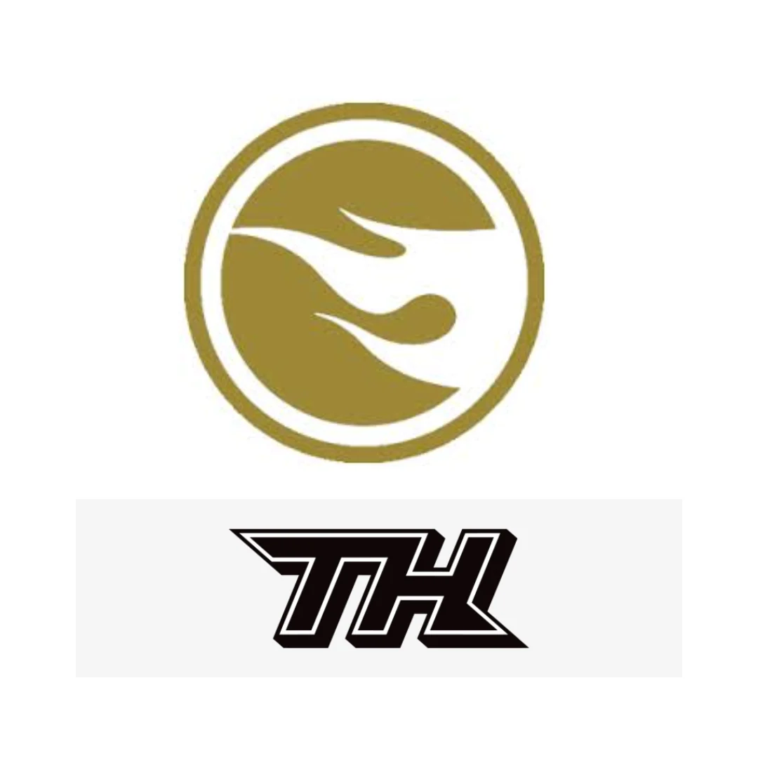 Logo Super Treasure Hunt Hot Wheels llama dorada y siglas TH